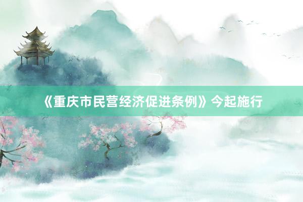《重庆市民营经济促进条例》今起施行