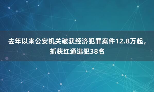 去年以来公安机关破获经济犯罪案件12.8万起，抓获红通逃犯38名