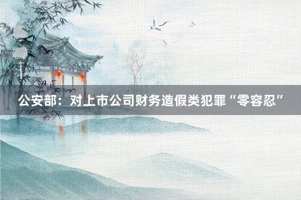 公安部：对上市公司财务造假类犯罪“零容忍”