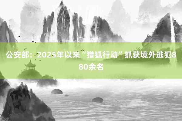 公安部：2025年以来“猎狐行动”抓获境外逃犯880余名