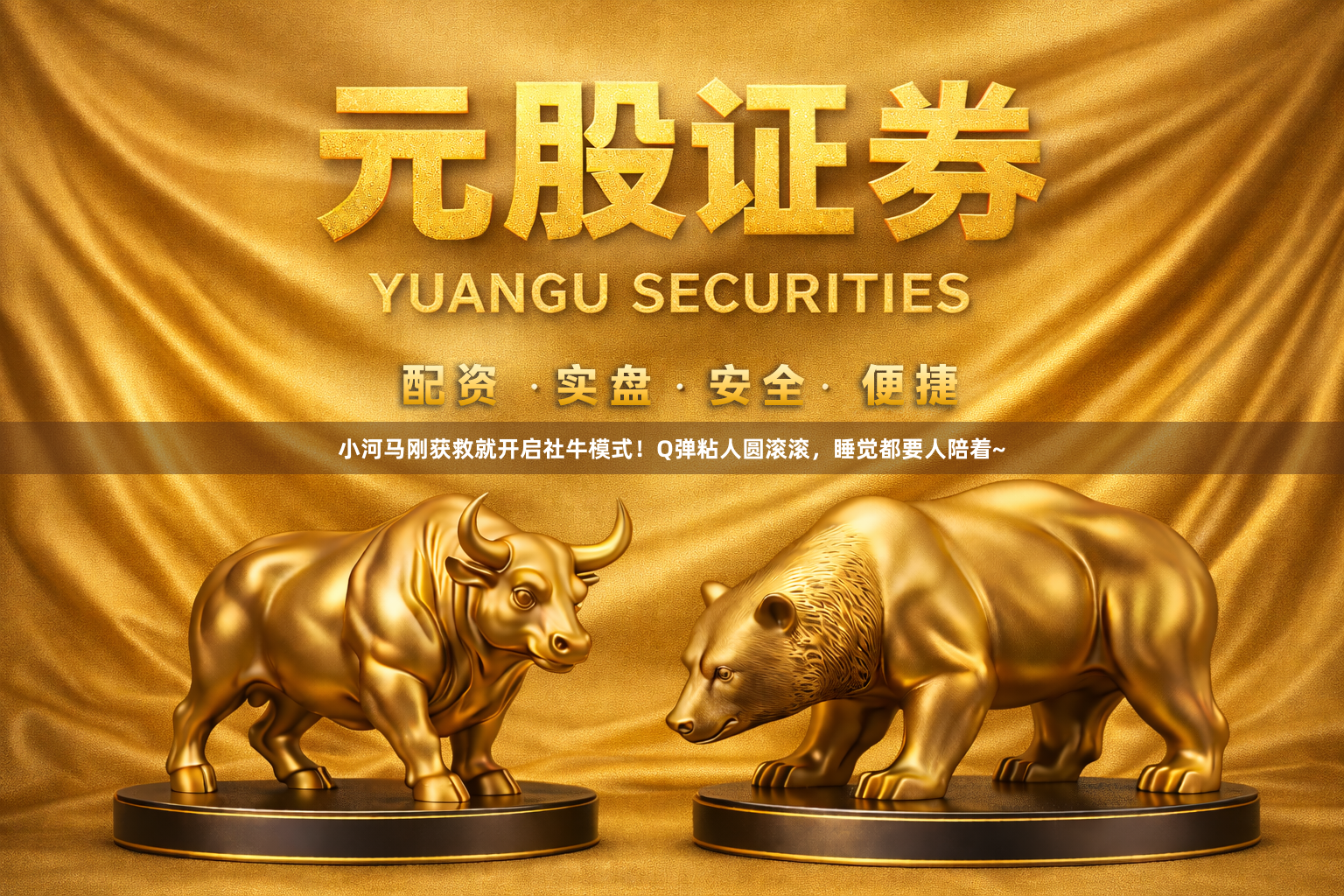 小河马刚获救就开启社牛模式！Q弹粘人圆滚滚，睡觉都要人陪着~